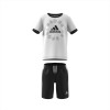 ADIDAS ESSENTIALS LOGO SUMMER SET 