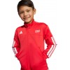 Tuta Marvel Spider-Man Adidas bambini – Comfort e stile da supereroe