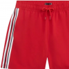 Pantaloncini mare tommy hilfiger Drawstring boy